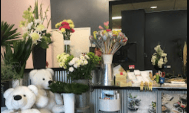 jobad-media